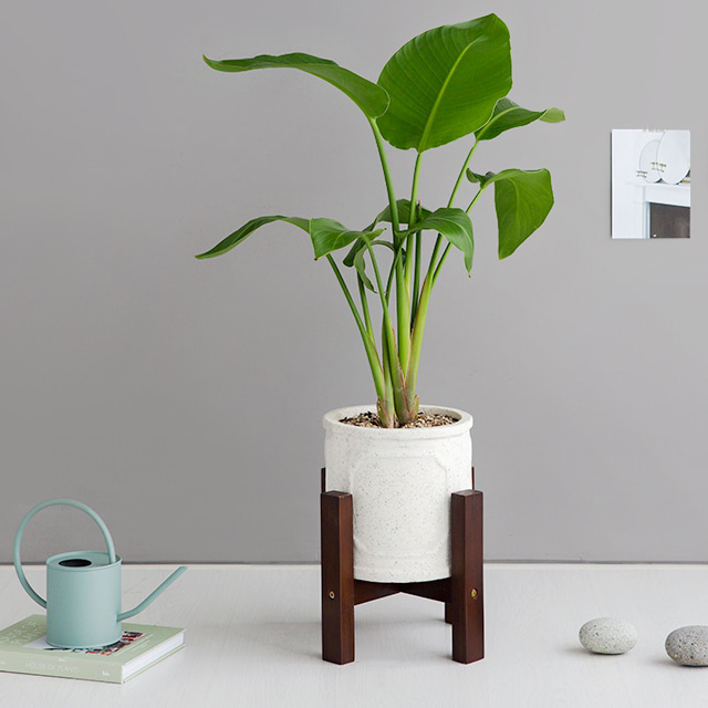 FLOWERPOT 화분받침 D30 8549.1535 - 상품 이미지