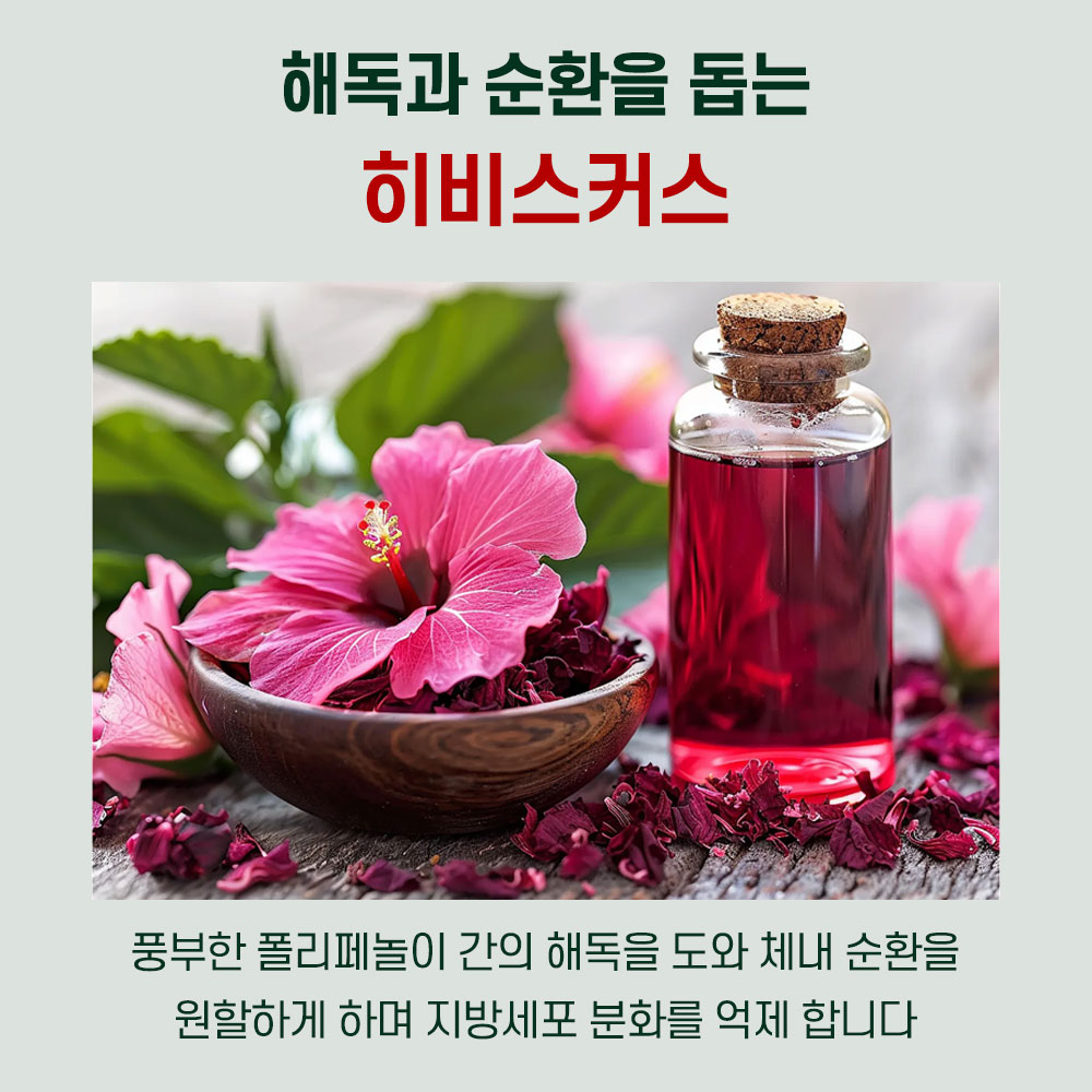 큐랩온 알파CD 케일컷 식이배출제 식약청인증 100% 리파솔린 - 상세 이미지 5