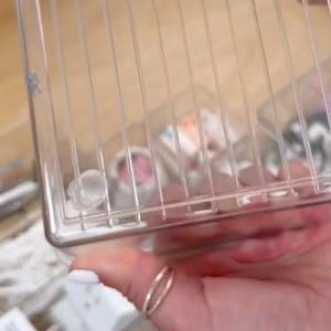 뮤지엄젤 소품고정 박물관접착제 전시회 피규어 눈물점토 실사용 후기 | 효과 있을까? - 상품 이미지 2