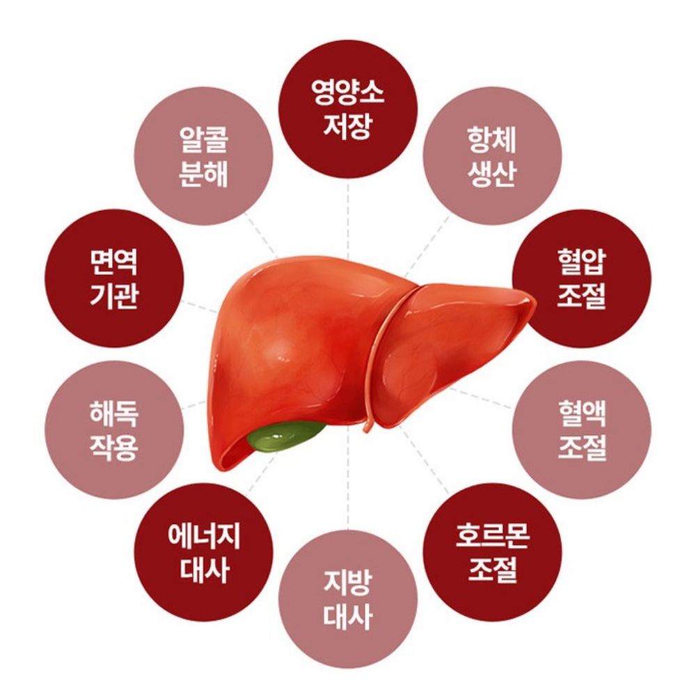 종근당 간건강 슈퍼케어 밀크시슬 리버골드 밀크씨슬 복용시간 씨르마린 30정, 3개 이미지 8