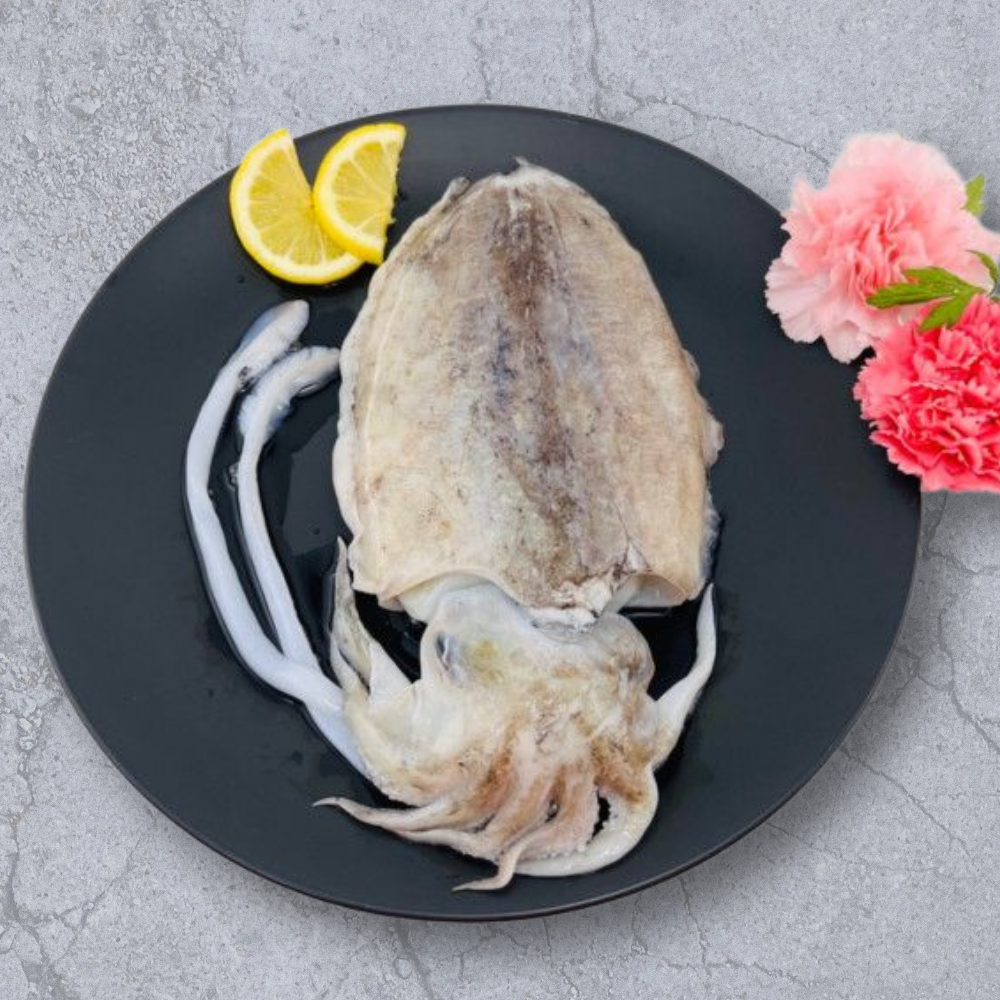 국내산 생물 특대 갑오징어 1kg(2~4미) 탱글 식감 - 메인 이미지