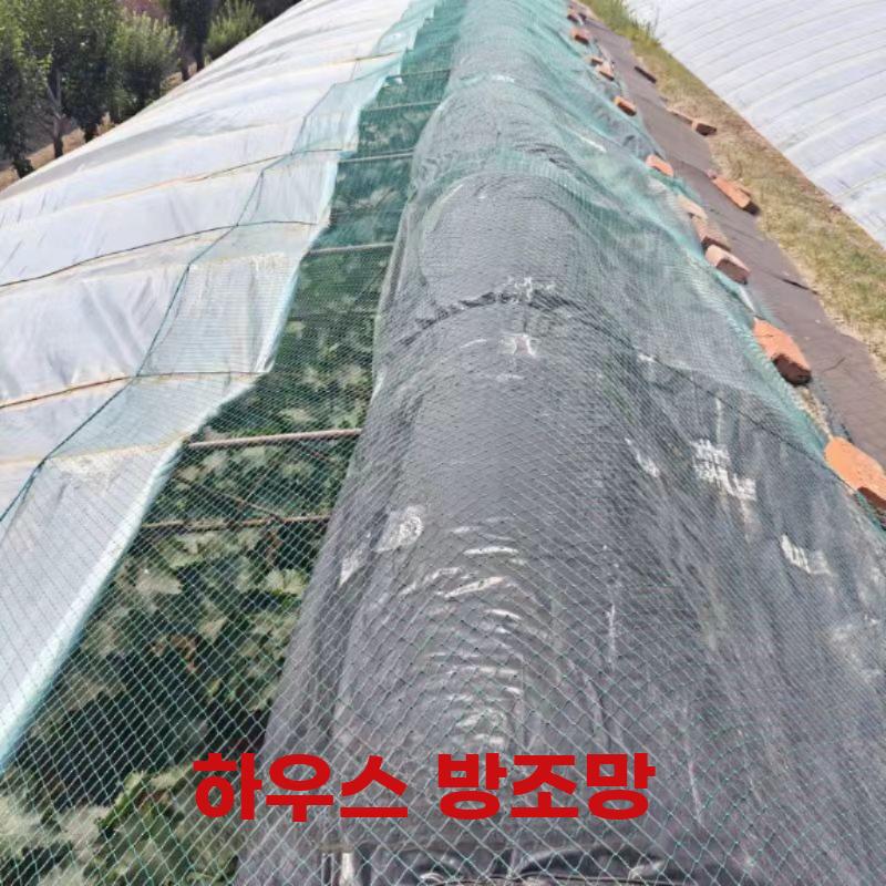 두꺼운 나일론 방조망 과수원 새 방지 농장 보호망 - 상세 이미지 4