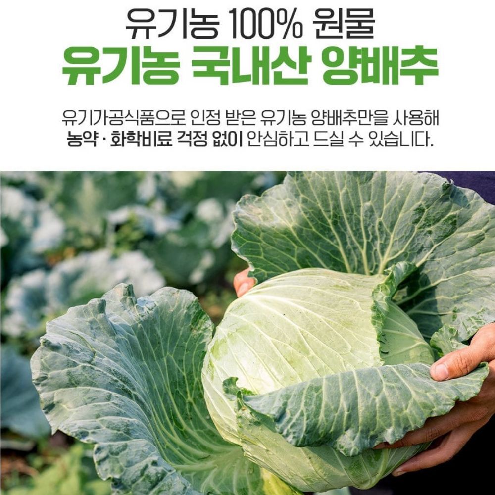유기농 양배추즙 진짜 양배추 임산부 농축액 스틱 국산 주스 속편한 웰빙 30포, 1개 - 상세 이미지 5