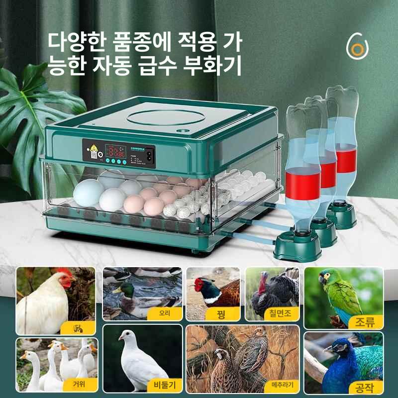 병아리 부화기 메추리 사육장 미니 고슴도치 경험 닭 보온 싱글박스 대형 24알 이중 전원 - 상세 이미지 3