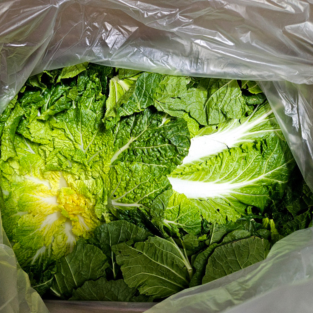 산지직송 진도 해풍 봄동 달달한 1kg 특상급 신선채소 - 상세 이미지 3