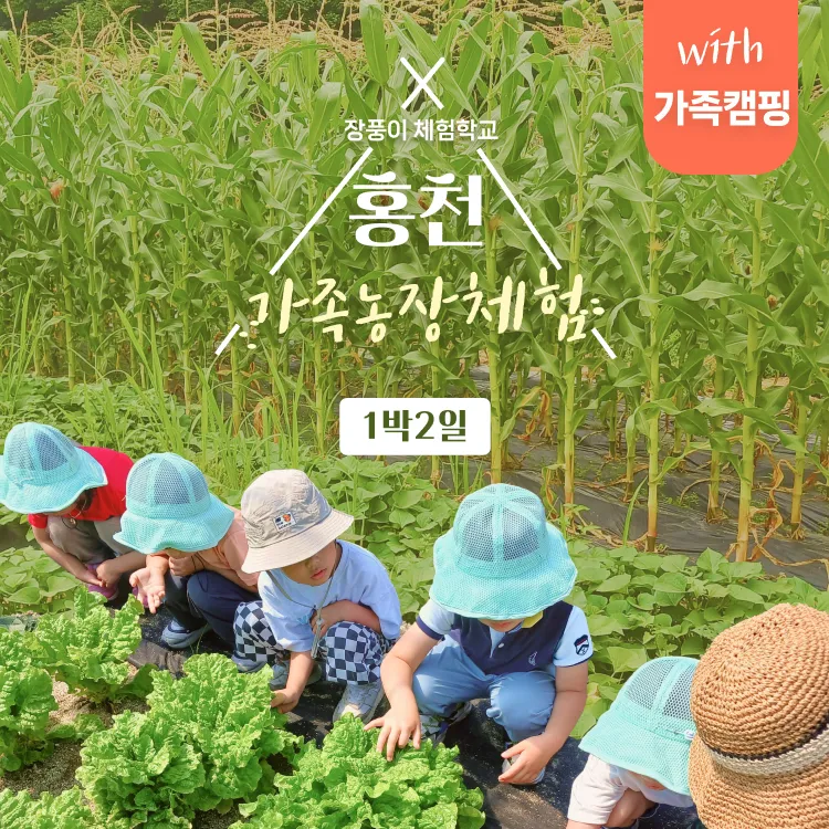 [1박 2일] 홍천 가족농장체험 + 가마솥 백숙 만들기 + 팜스테이 | 식사, 숙박 포함 by 장풍이체험학교