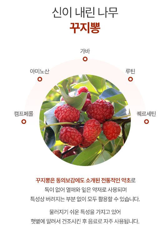꾸지뽕 차 국산 구찌뽕잎 나무잎 가바 루틴 찻잎 pla티백 50개입, 2개 - 상세 이미지 5