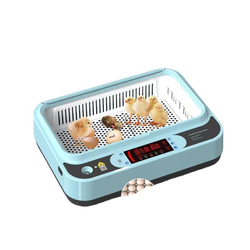 계란부화기 달걀 인큐베이터 병아리 물 부화기 침대 거위 24알 단일 전원 - 상품 이미지