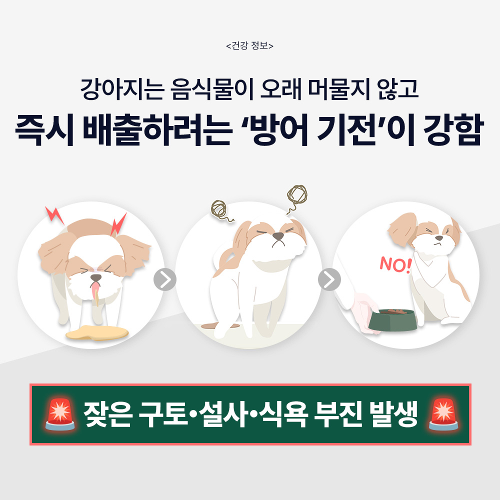 강아지 습식사료 추천 닥터바이 리퀴드밀 퓨레 소화 케어 후기
