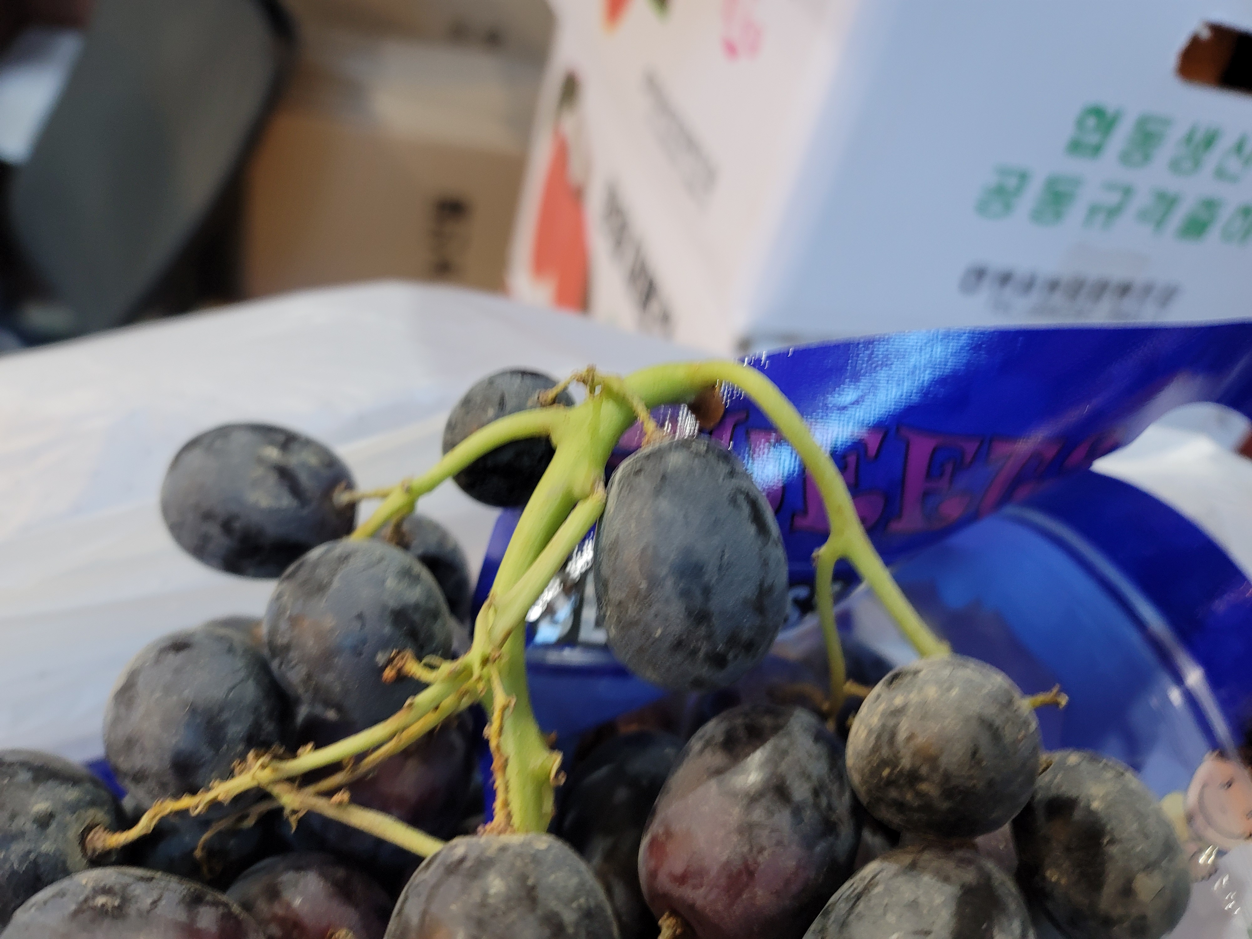 아도라 블랙포도 고당도 씨없는 수입포도 1kg, 1개 이미지 8