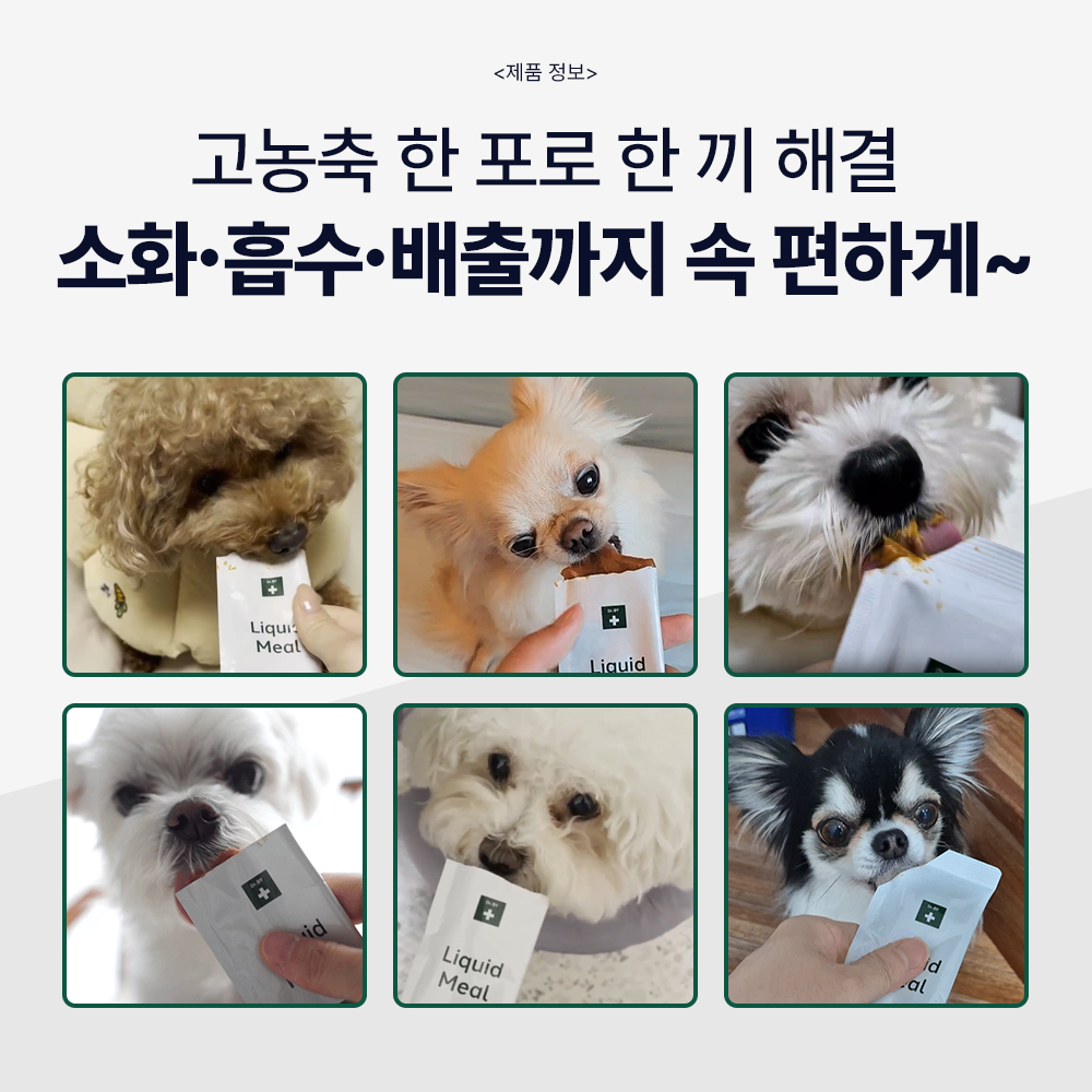 강아지 습식사료 추천 닥터바이 리퀴드밀 퓨레 소화 케어 후기