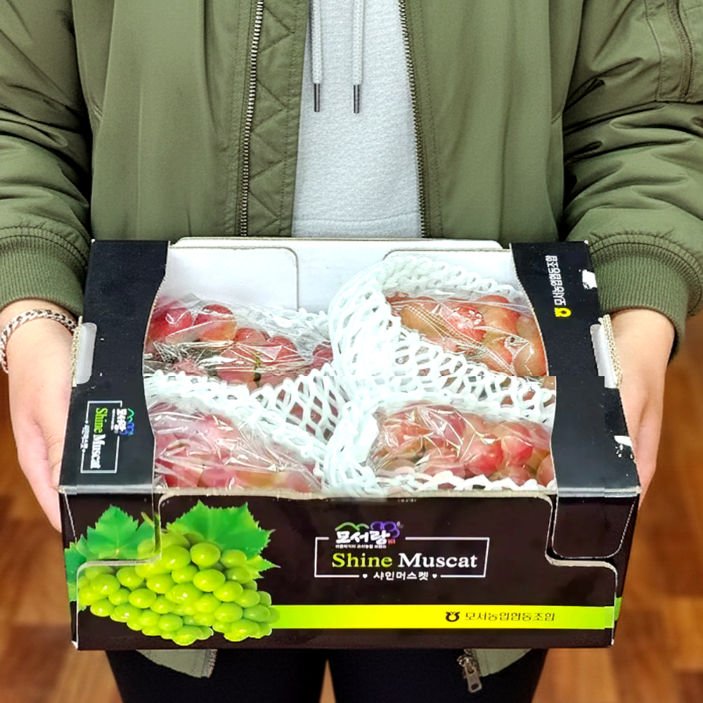 레드 샤인머스켓 써니돌체 애플 적포도 2kg, 1개 - 메인 이미지