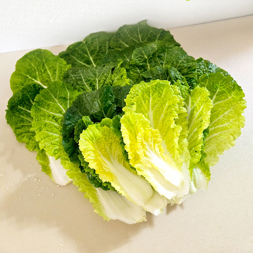 전남 진도 해풍맞고자란 제철 햇 봄동 배추 겉절이 무침 1KG 2KG - 상품 이미지