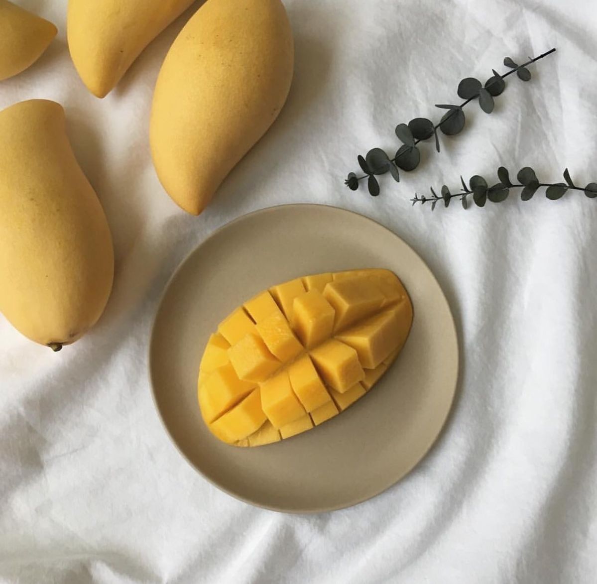 프리미엄 태국 골드 망고