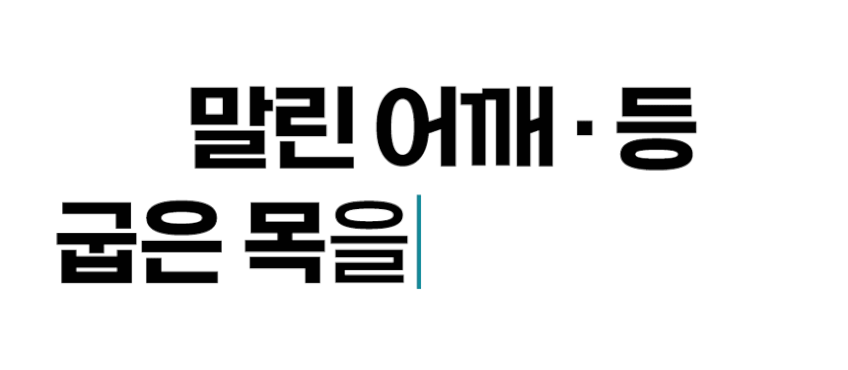 듀오커브 바디 스트레쳐 미국의사 직접 설계 등과 목 동시 스트레칭 바른자세 케어 판매처 상세 정보 이미지 2