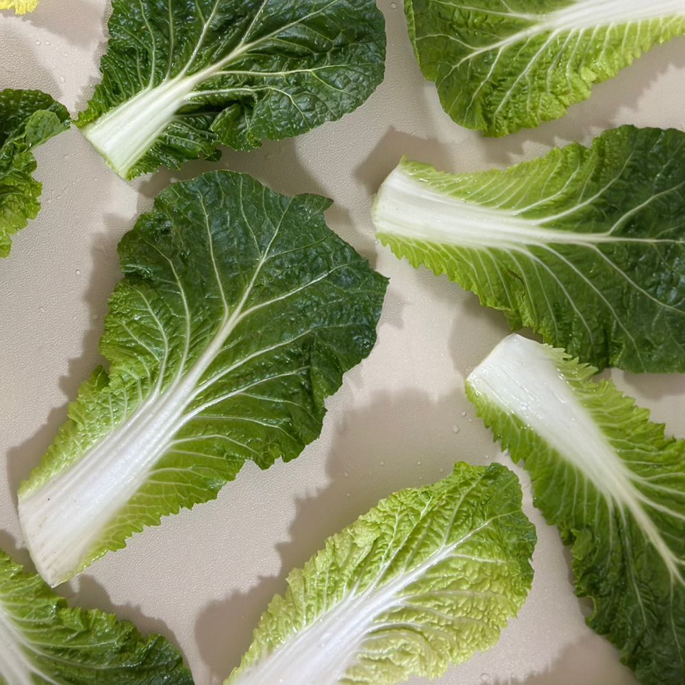 산지직송 진도 해풍 봄동 달달한 1kg 특상급 신선채소 - 상세 이미지 2