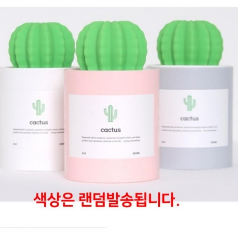 usb 선인장 미니가습기 가습기 탁상용 보틀형 휴대용 개인용 - 상품 이미지