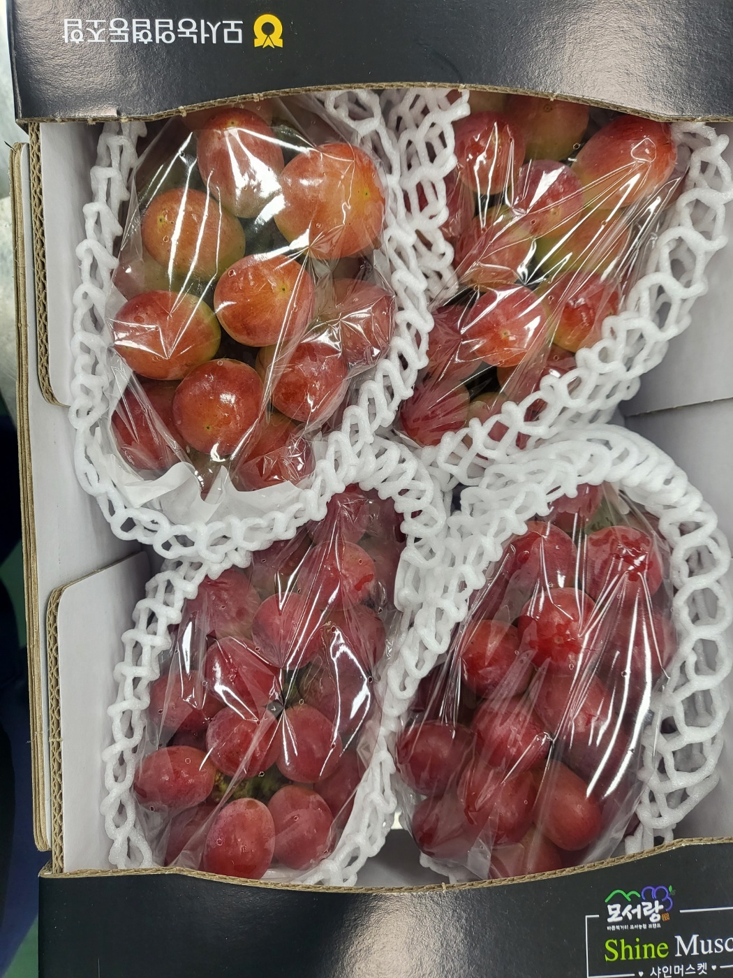 레드 샤인머스켓 써니돌체 애플 적포도 2kg, 1개 - 상세 이미지 2