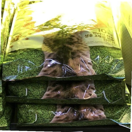 대주산업 반려묘 노브랜드 사료 성묘용 고양이 10kg