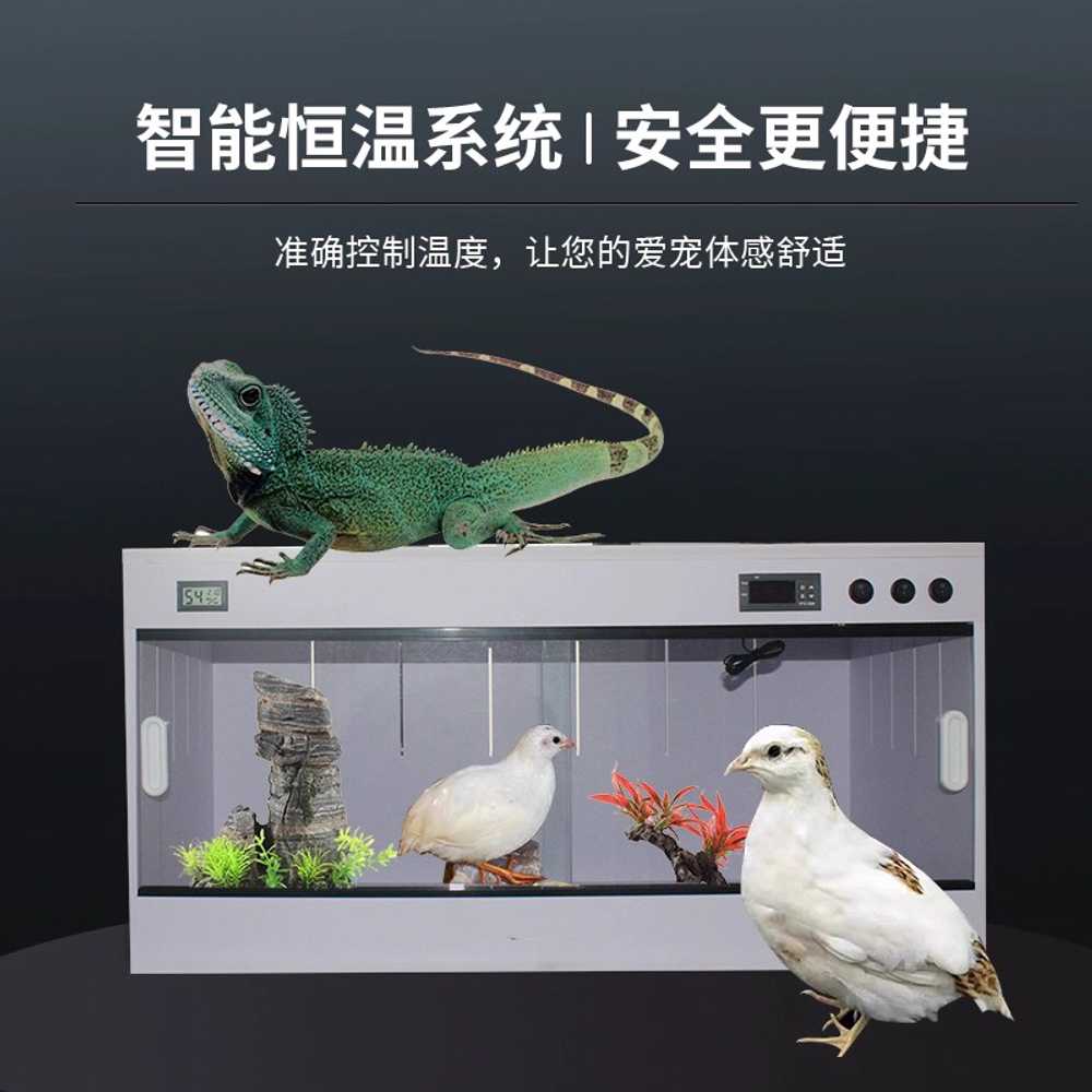 파충류 사육장 자온조 도마뱀 고슴도치 거북이 케이지 40x30 - 상세 이미지 2