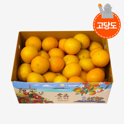 석희농장 제철맞은 고당도 황금향 4.5KG(가정용) 호텔납품 제주 서귀포 - 상품 이미지