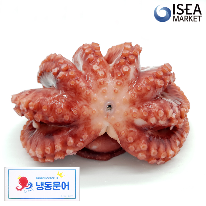 자숙문어 (필리핀) 10KG/박스 냉동문어 [도매용] - 상세 이미지 2