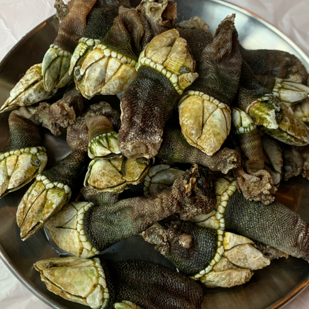 무인도 채취 자연산 거북손 급냉 500g 비린내 적은 감칠맛 국물요리 - 상세 이미지 5