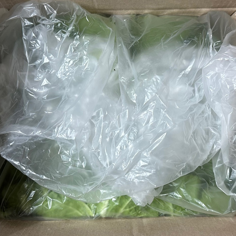 산지직송 진도 해풍 봄동 달달한 1kg 특상급 신선채소 - 상세 이미지 4