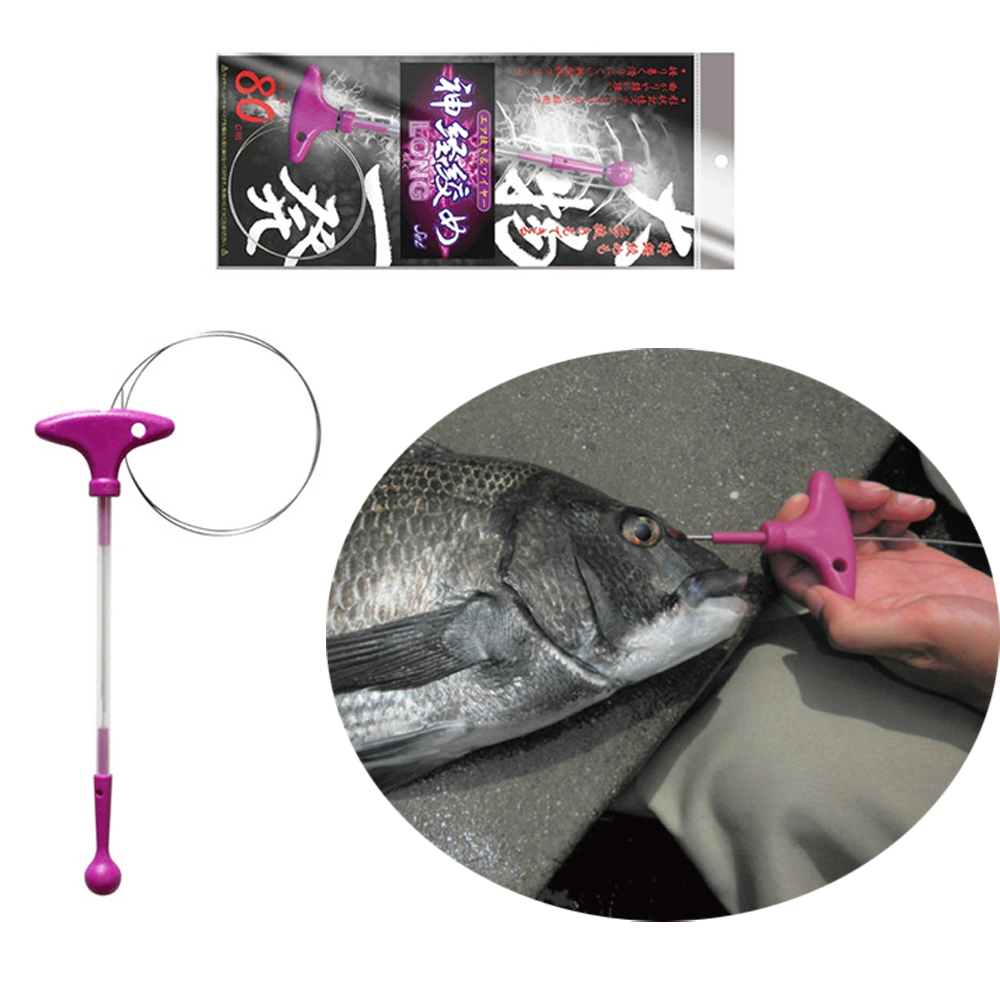 이케시메 생선 신경 시메 도구 와이어 활어 이케지메 80cm 운동러 솔직 후기 | 실사용 리뷰 - 대표 이미지