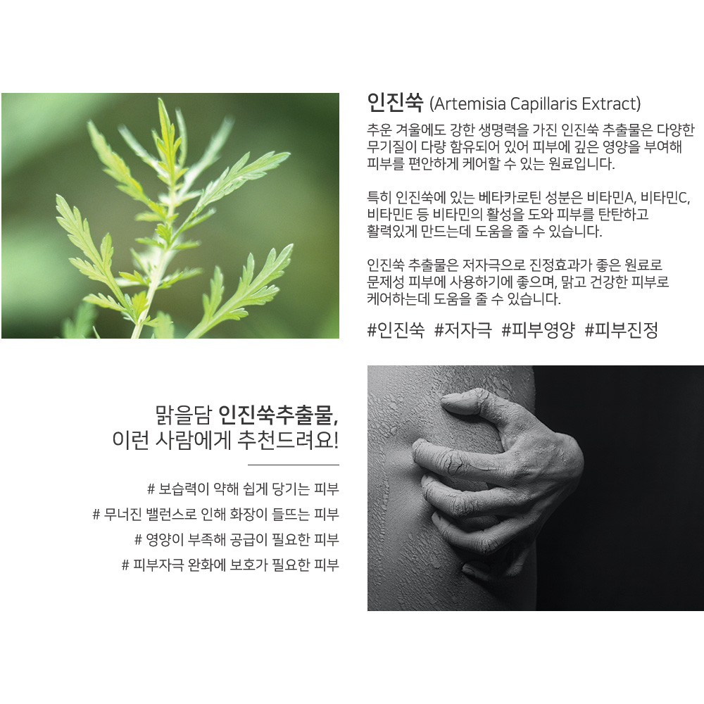 1+1 맑을담 인진쑥 추출물 원액 300ml - 상세 이미지 3