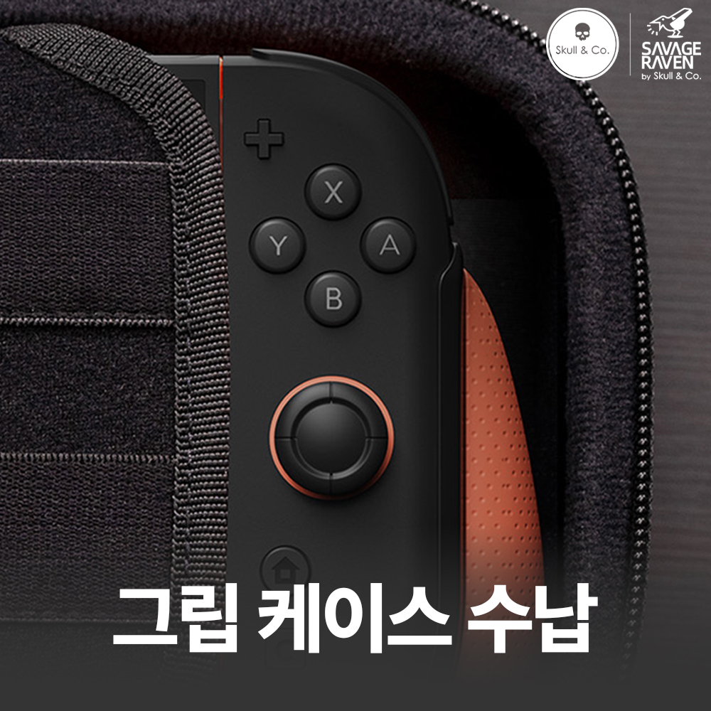 닌텐도 스위치2 케이스 스컬앤코 피션 그립케이스 맥스캐리 파우치 세트 상품 이미지
