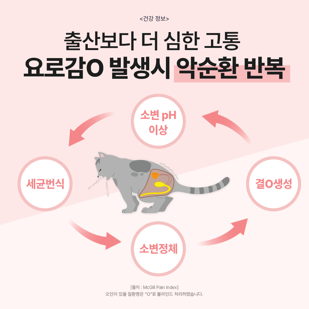 닥터바이 요로케어 고양이 신장 방광 배뇨 크랜베리 영양제 30포, 1개