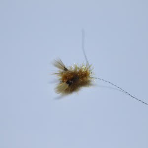 ABIBI'S GOMULSANG 수제 고양이낚시대리필 브라운버그 솔직 후기 | 실제 사용자 리뷰 총정리 - 상품 이미지 2