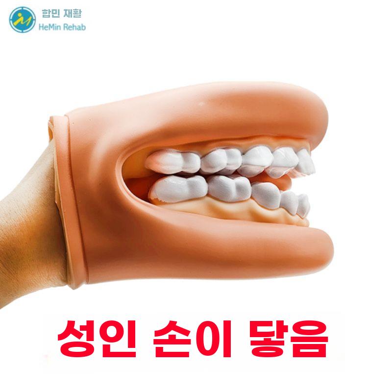 구강근육 훈련 치아모형 말하기 연습 구강교육 교구 세트 - 상세 이미지 3