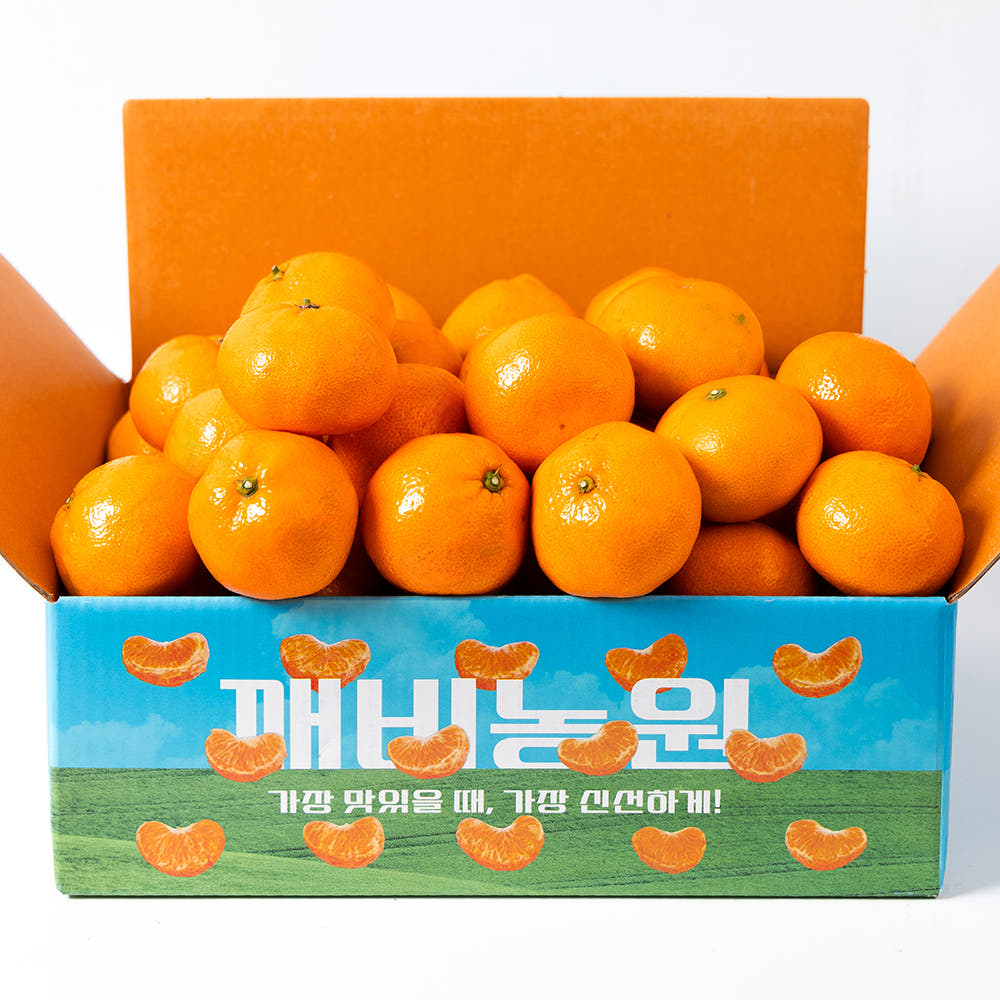 제주 조생 감귤 4.5kg