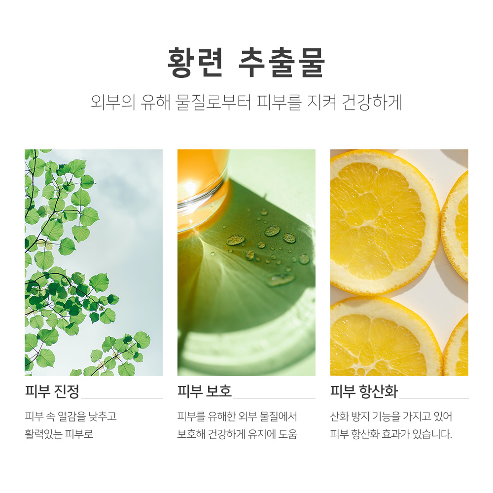 맑을담 황련 추출물 원액 500ml 이미지 7