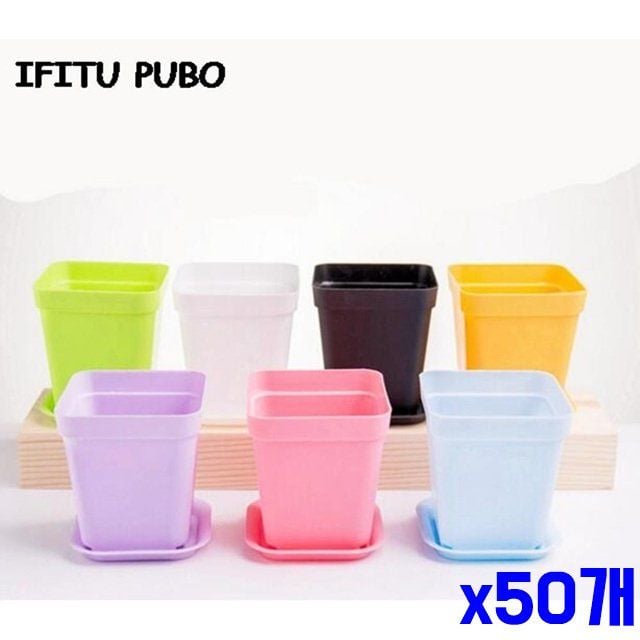 파스텔톤 플라스틱 화분 x50개 화분받침포함 다육이 - 상품 이미지