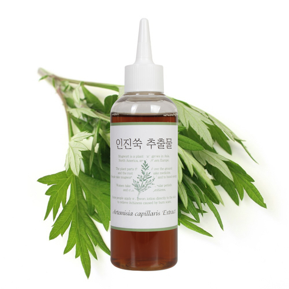 맑을담 인진쑥 추출물 원액 100ml - 상품 이미지