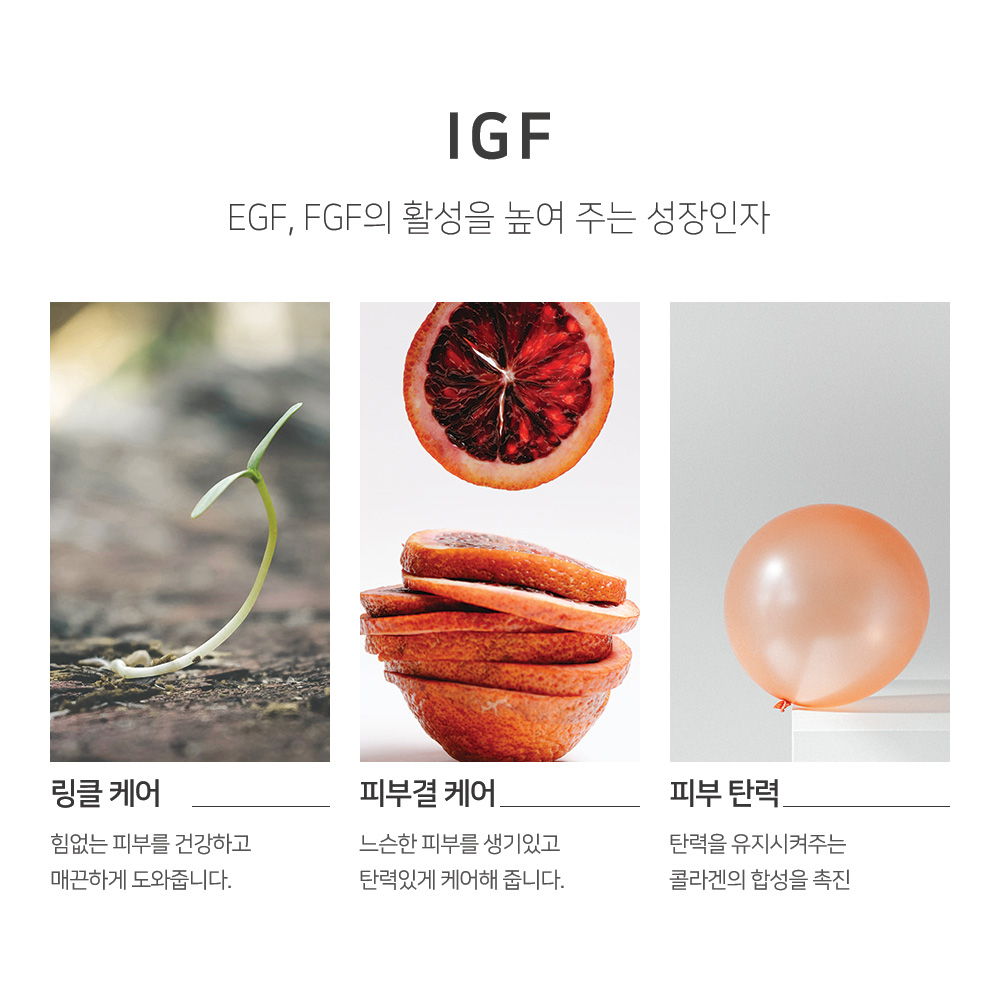 맑을담 IGF 원액 앰플 1ppm 30ml 이미지 2