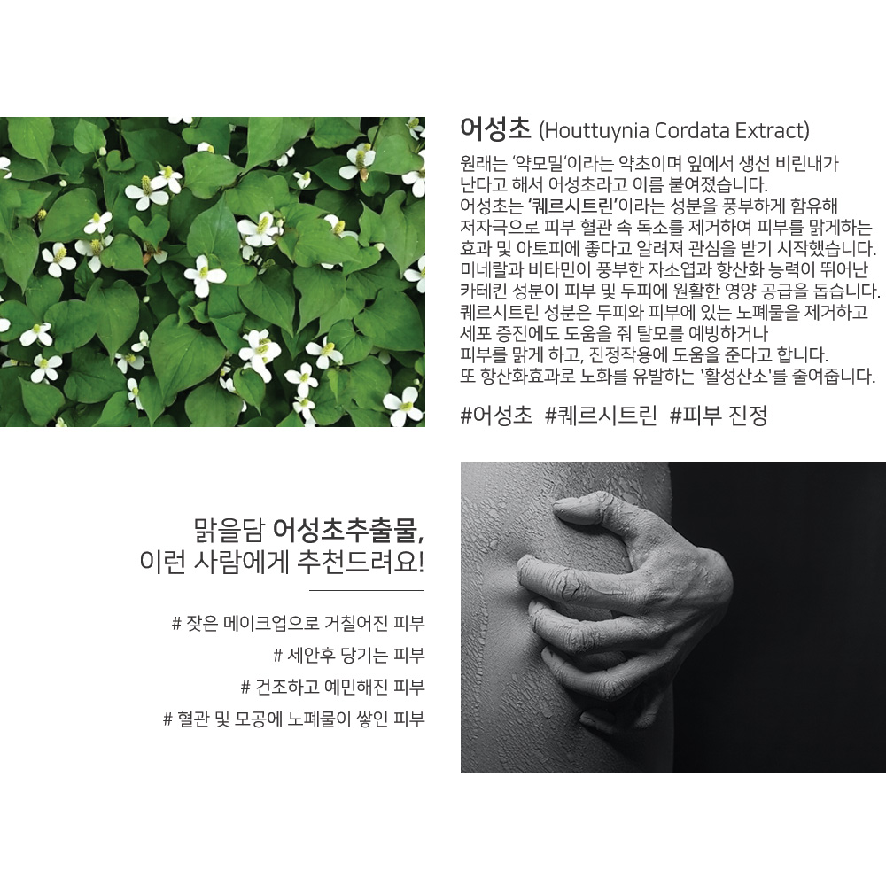 맑을담 어성초 추출물 원액 100ml 이미지 2