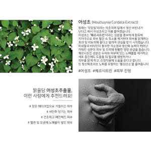 맑을담 어성초 추출물 원액 100ml 솔직 후기 | 피부 타입별 분석 - 상품 이미지 2
