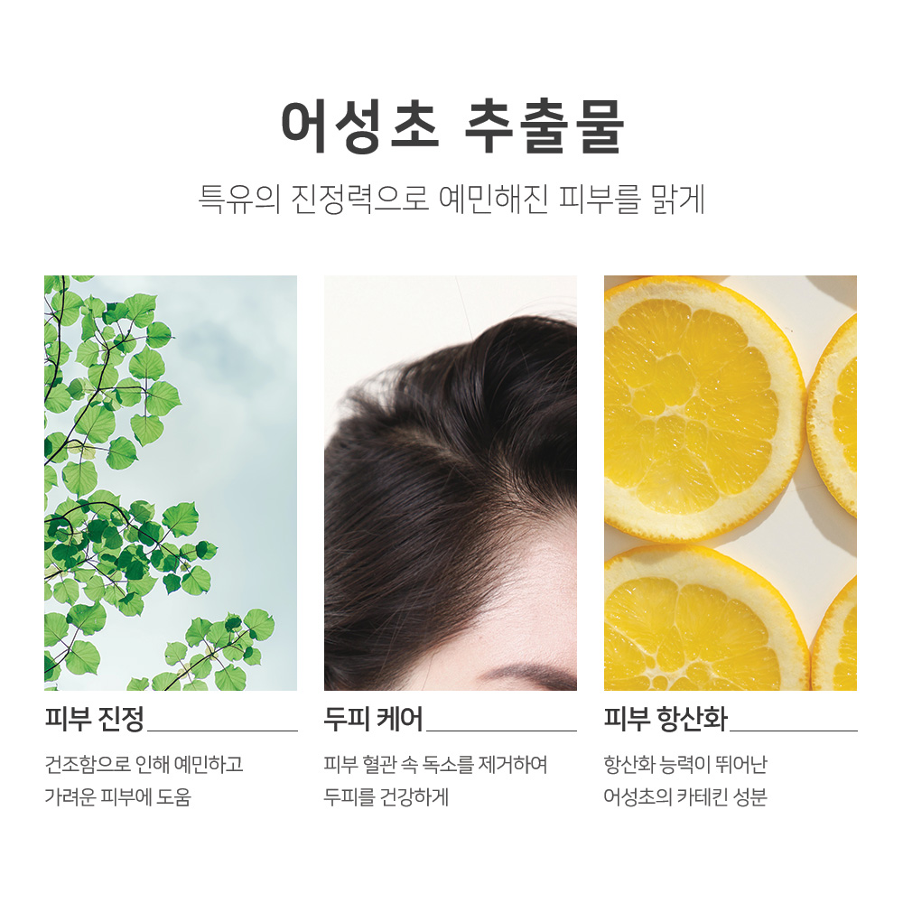 1+1 맑을담 어성초 추출물 원액 300ml 이미지 6