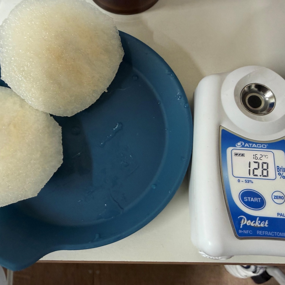 파지배 먹는 배구매 김장용배 못난이 배과일 천안 상주 햇신고배 한박스 3kg, 1개 - 상세 이미지 2