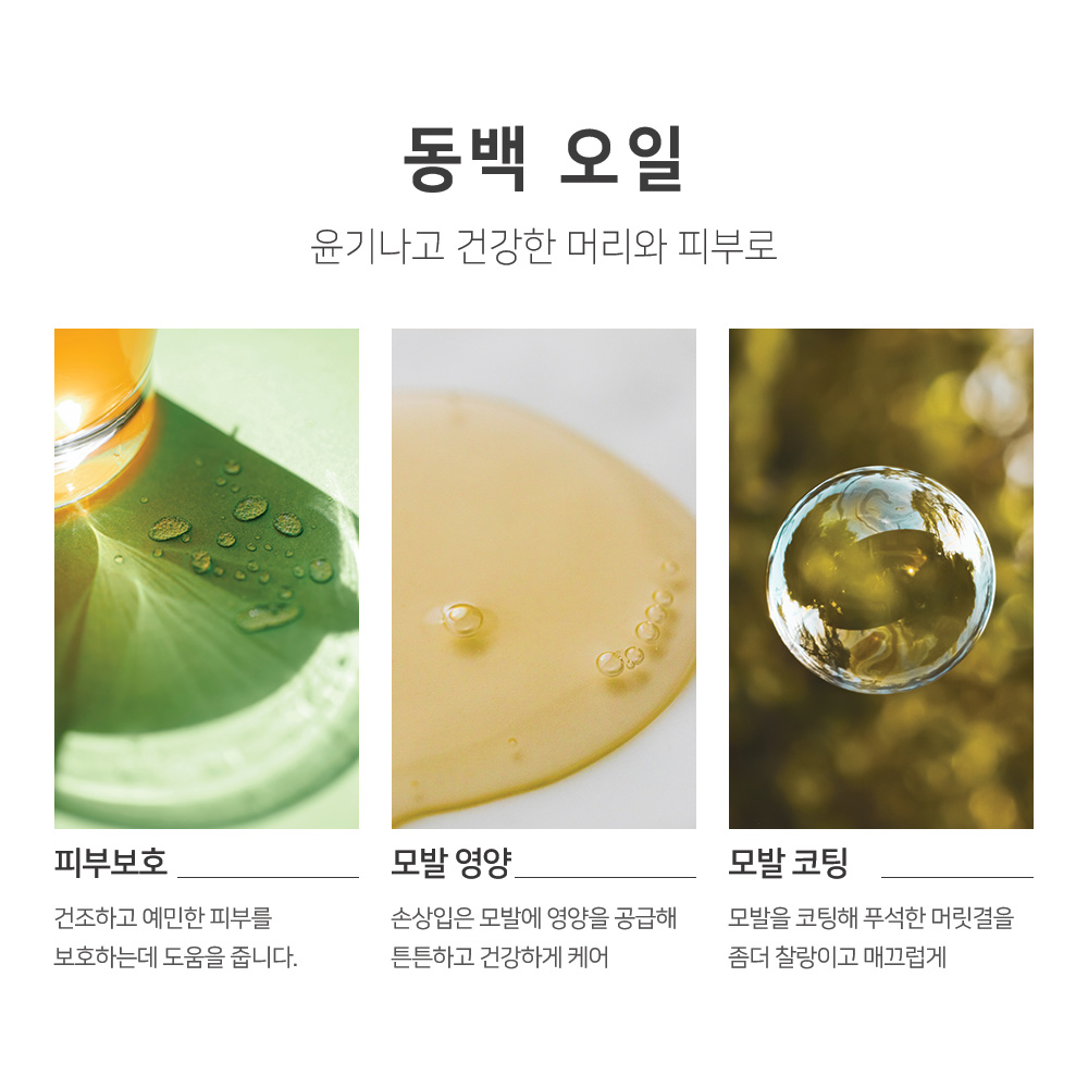 맑을담 동백 오일 100ml 동백유 - 상세 이미지 3