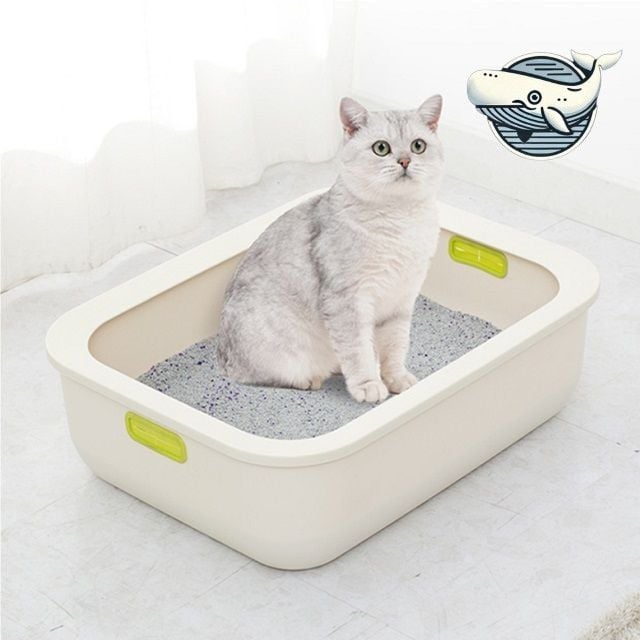 편안한 고양이 화장실 베이지 컬러 힐링 사각형 - 상품 이미지