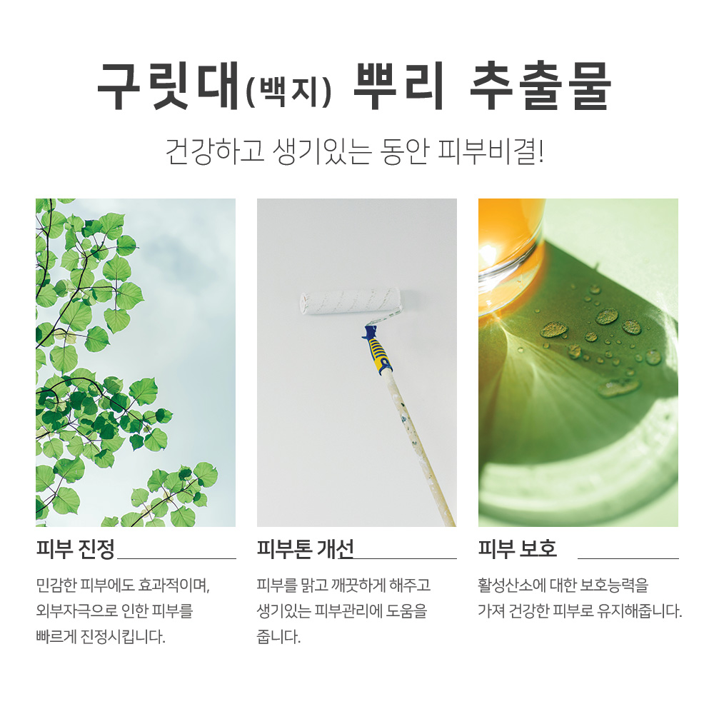 대용량 맑을담 구릿대뿌리 추출물 1L 백지 추출물 - 상세 이미지 5