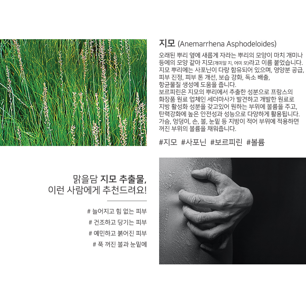 맑을담 지모 추출물 원액 보르피린 성분 100ml - 상세 이미지 2