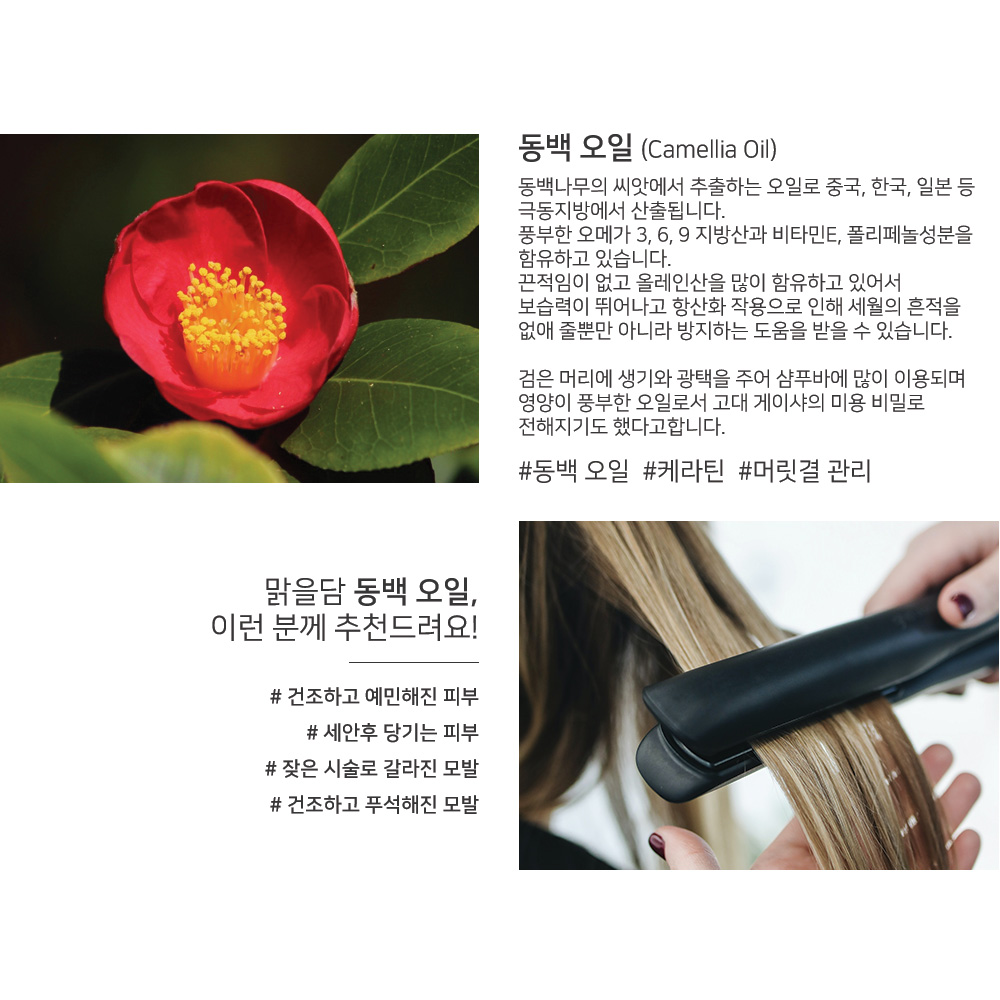 맑을담 동백 오일 100ml 동백유 - 상세 이미지 5