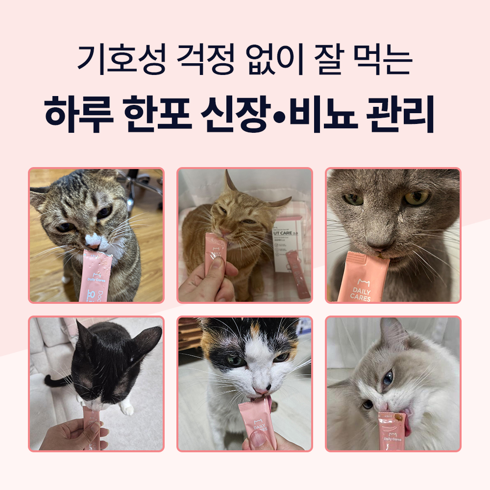 닥터바이 요로케어 고양이 신장 방광 배뇨 크랜베리 영양제 30포, 1개