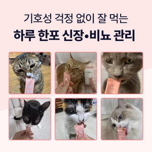닥터바이 요로케어 고양이 신장 방광 배뇨 크랜베리 영양제 30포, 1개 솔직 후기 | 실제 사용자 리뷰 총정리 - 상품 이미지 3